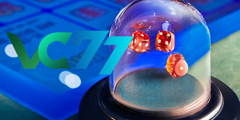 Master the basic rules before starting to bet at VC77