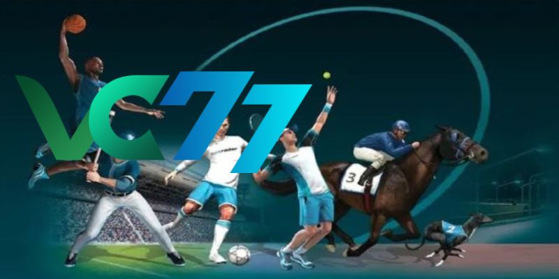Sketch a few features about eSport VC77