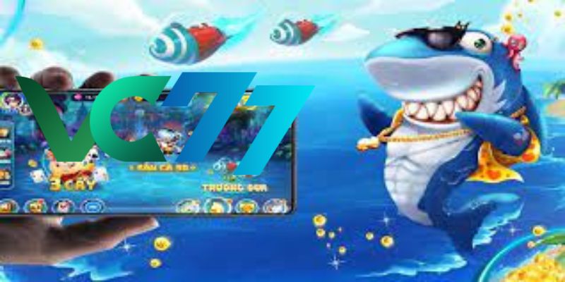 journey with TP Chill Fishing